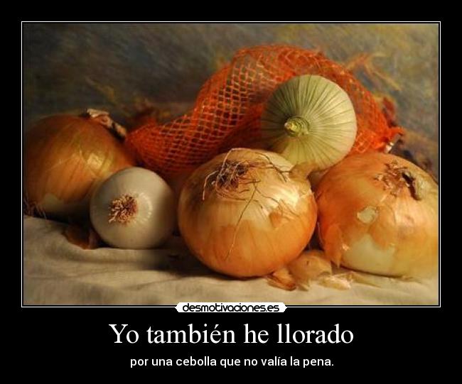 Yo también he llorado -