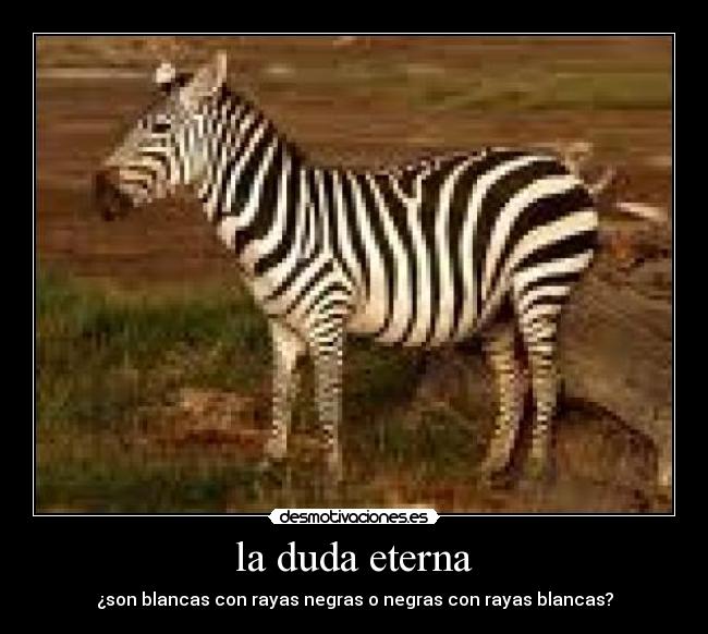 la duda eterna -