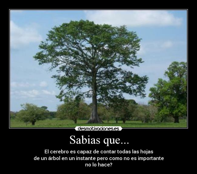 Sabias que... -