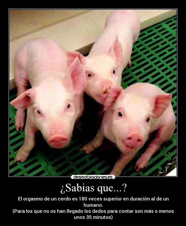 ¿Sabias que...? -