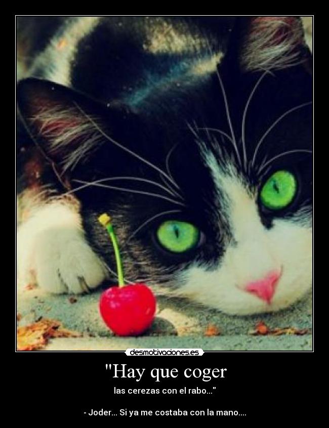 Hay que coger - las cerezas con el rabo...

- Joder... Si ya me costaba con la mano....