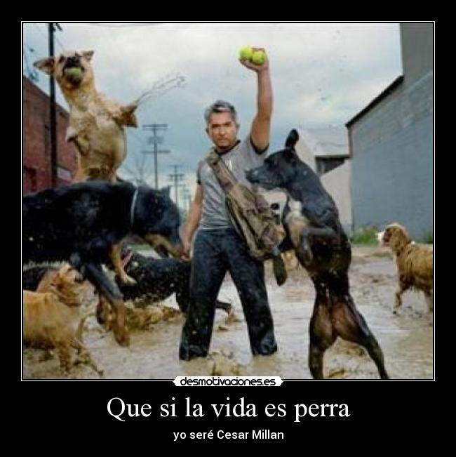 Que si la vida es perra - 