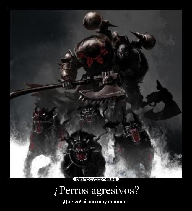 ¿Perros agresivos? - 