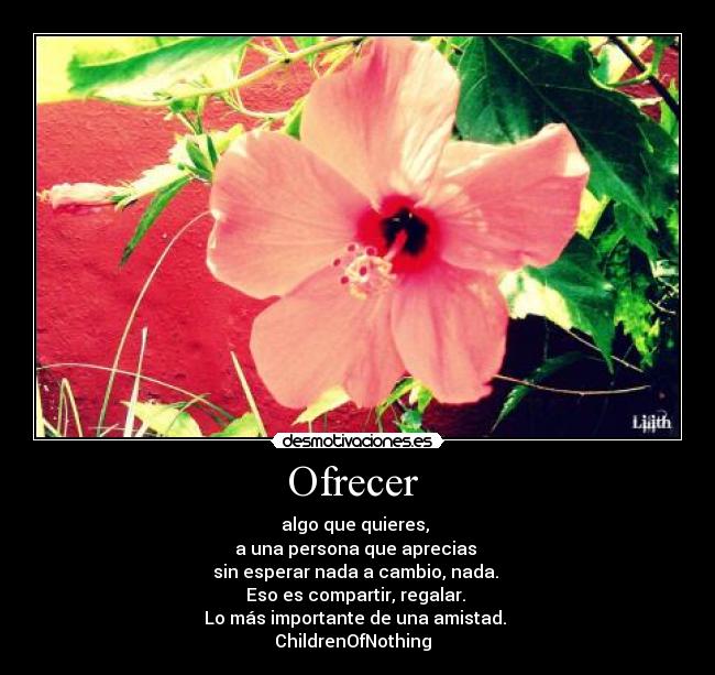 Ofrecer -