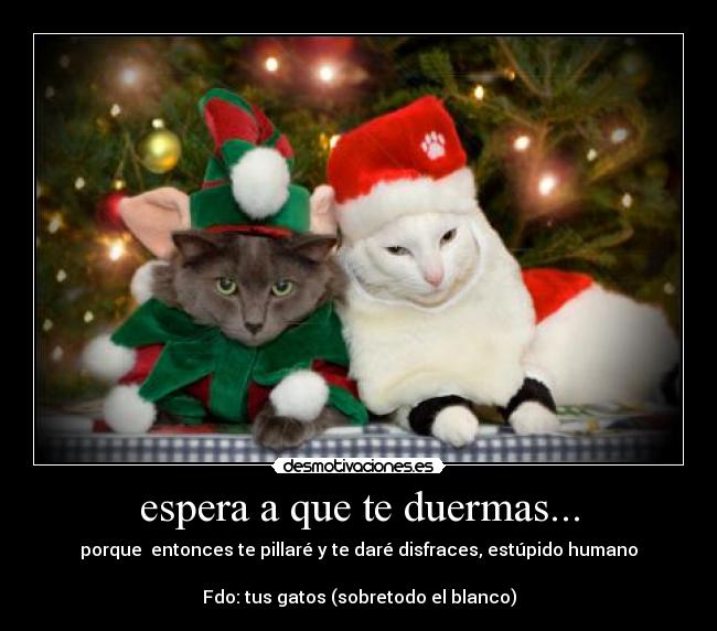 espera a que te duermas... -