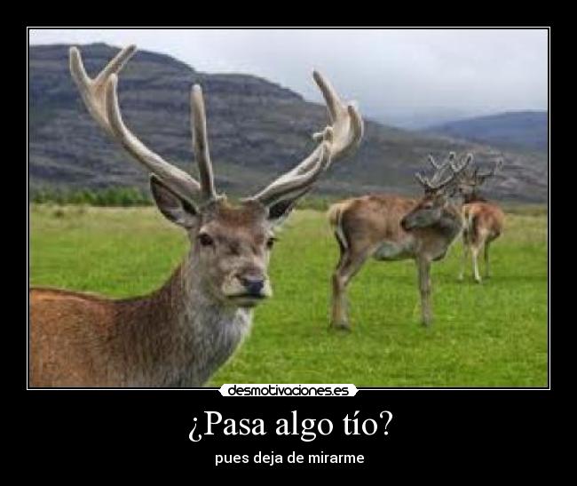 ¿Pasa algo tío? -