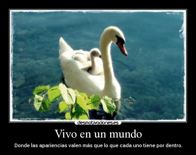 Vivo en un mundo -