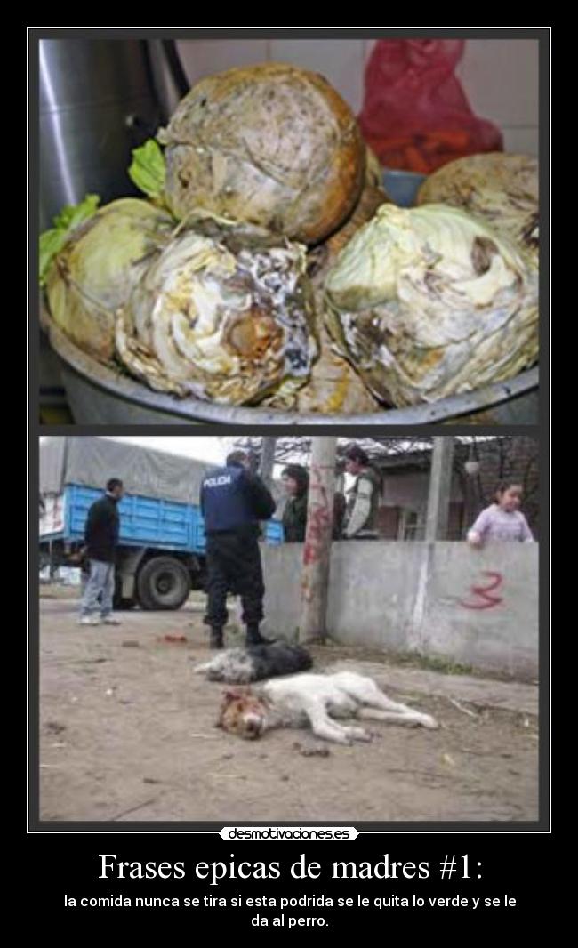 Frases epicas de madres #1: -