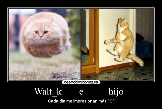 Walt_k e hijo -