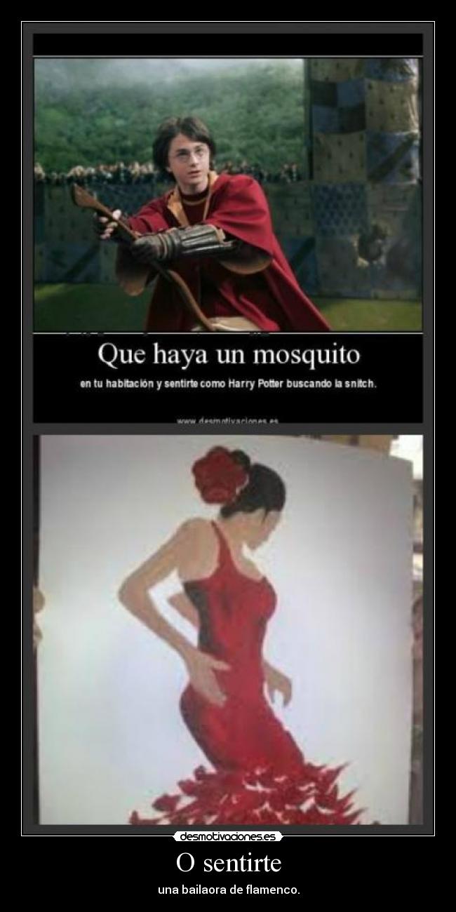 O sentirte - una bailaora de flamenco.