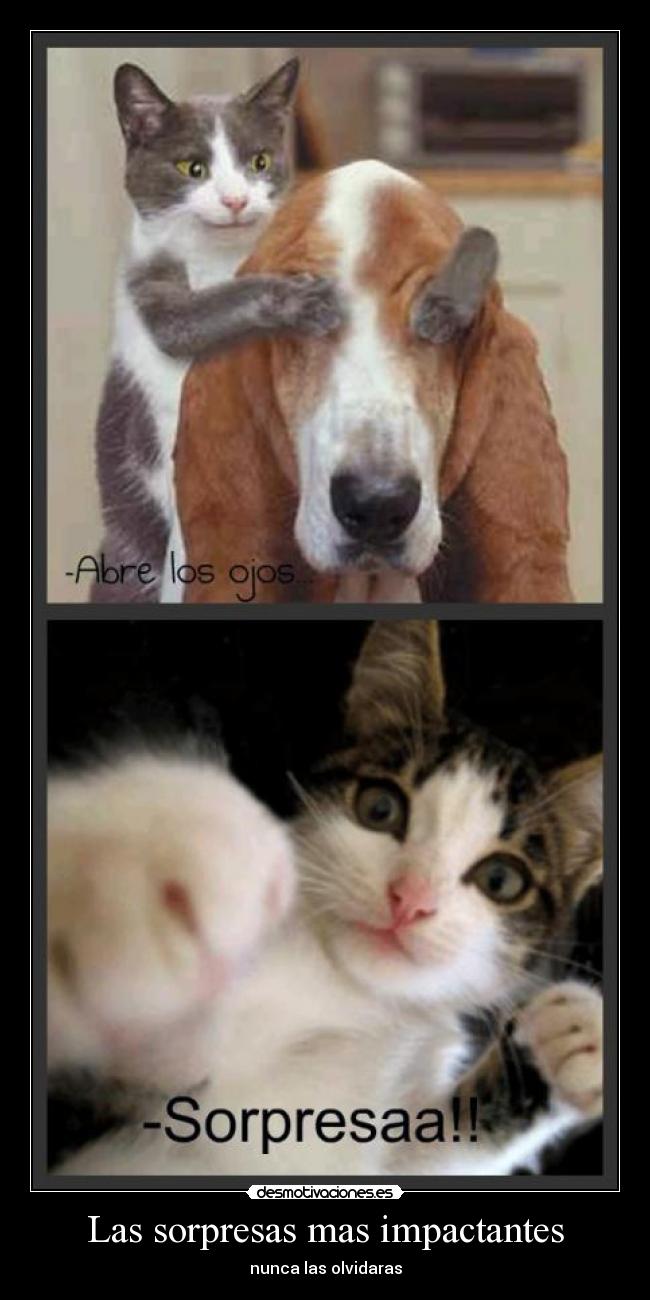 Las sorpresas mas impactantes - nunca las olvidaras