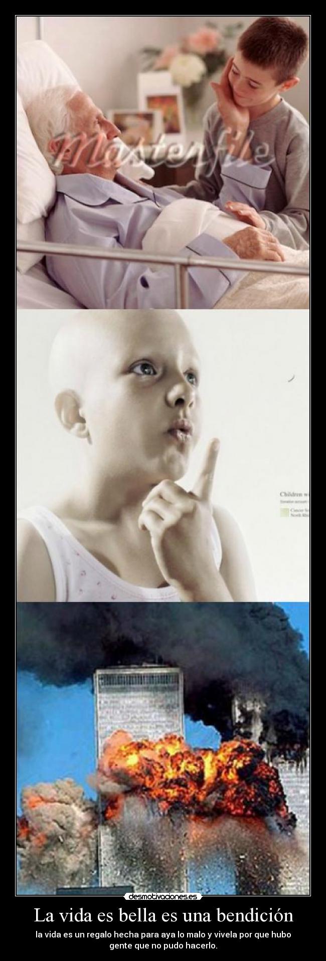 carteles vida vida desmotivaciones