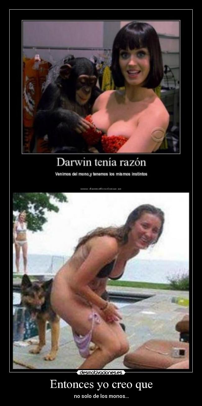 Entonces yo creo que - no solo de los monos...