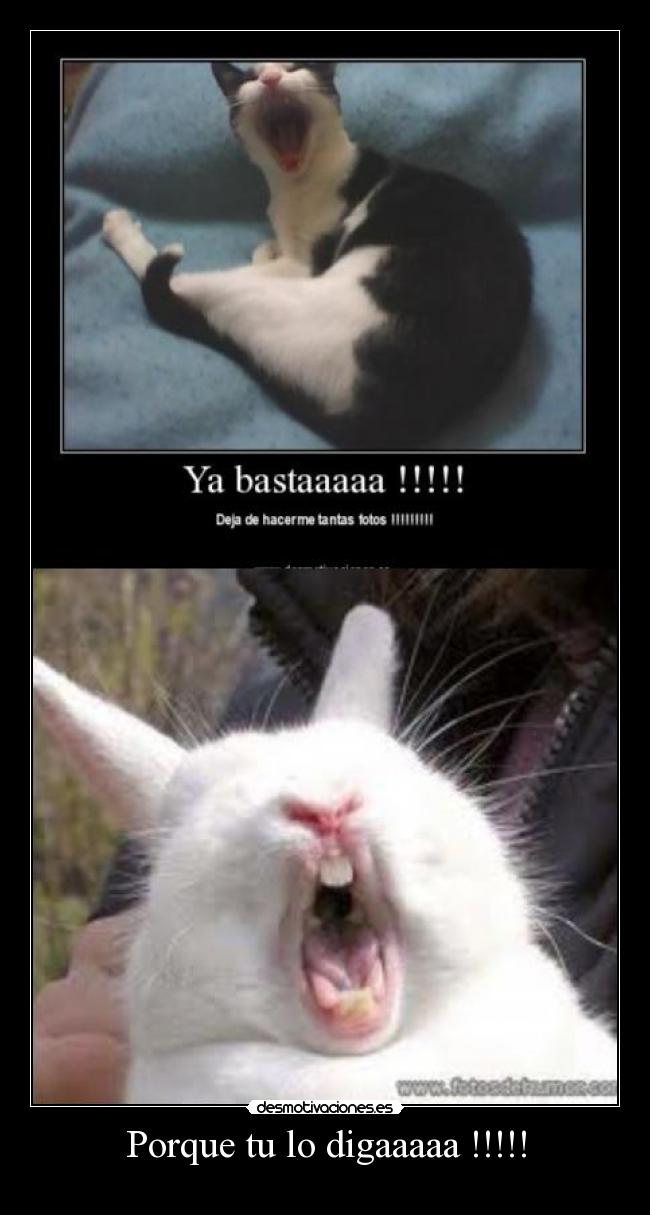 Porque tu lo digaaaaa !!!!! - 