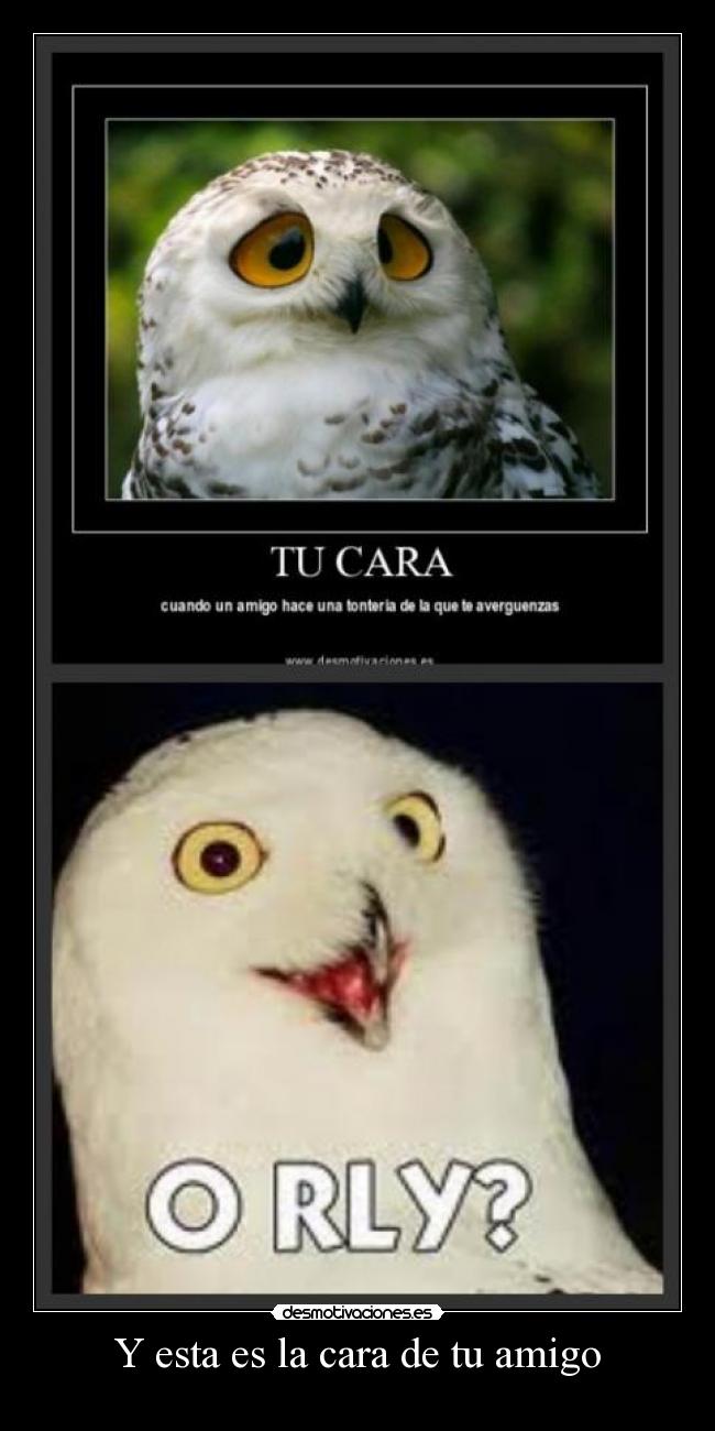 Y esta es la cara de tu amigo -