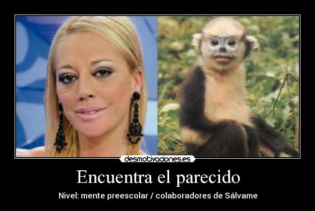 Encuentra el parecido - Nivel: mente preescolar / colaboradores de Sálvame