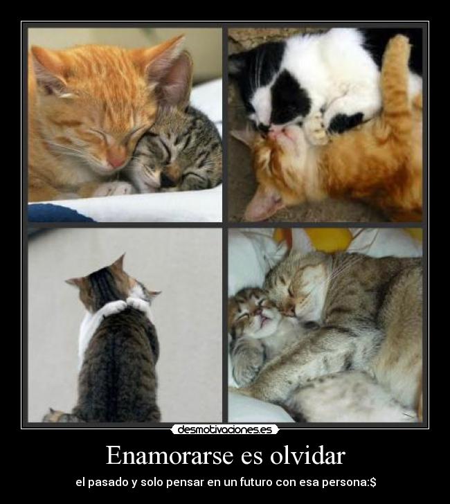 Enamorarse es olvidar - el pasado y solo pensar en un futuro con esa persona:$