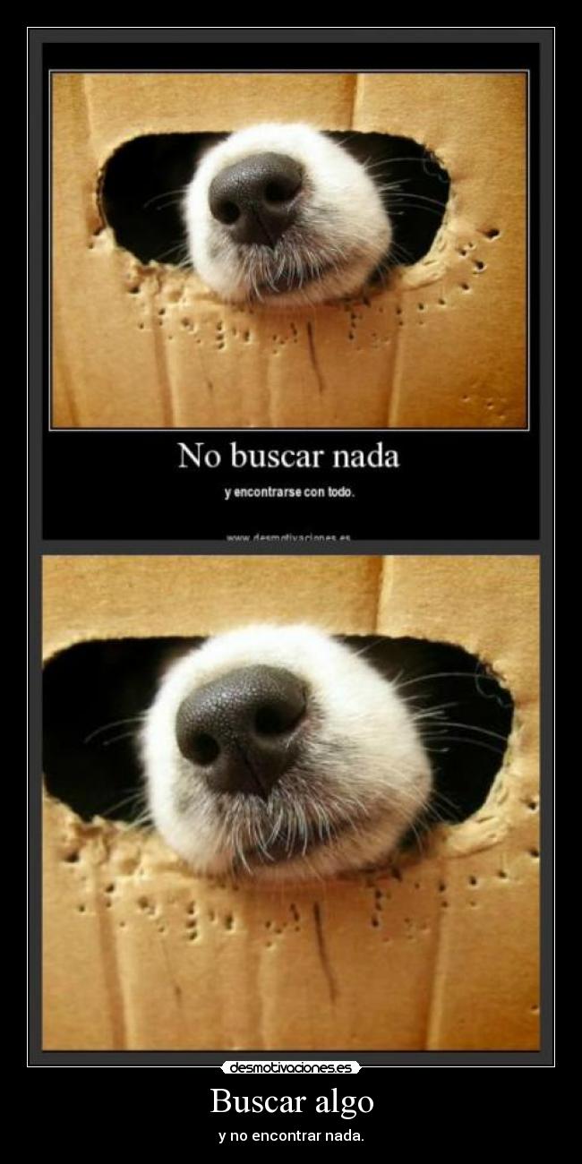 Buscar algo - y no encontrar nada.