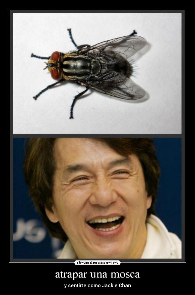 atrapar una mosca -
