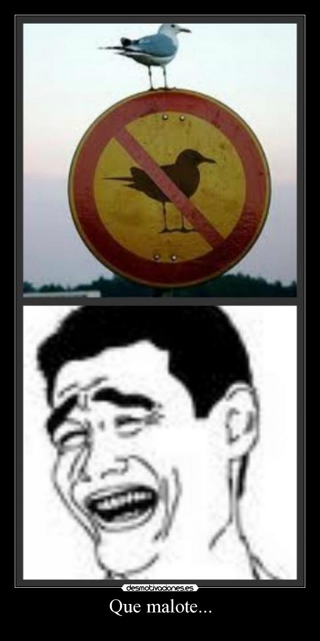 Que malote... -