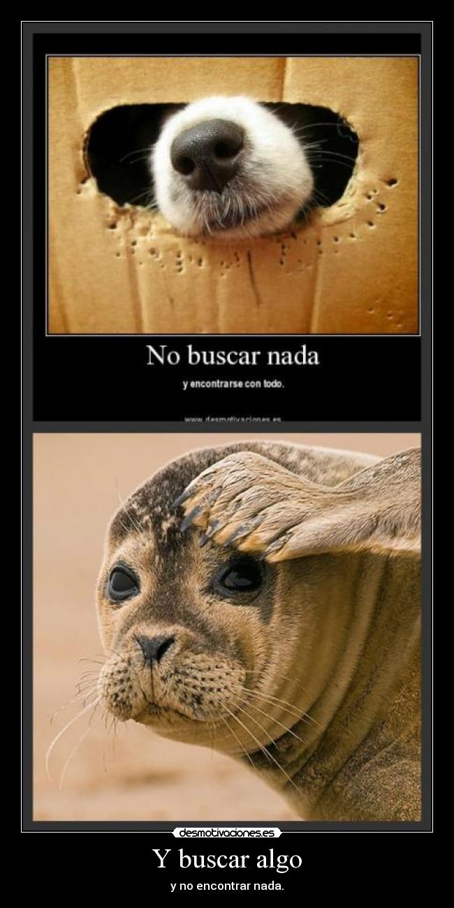 Y buscar algo -