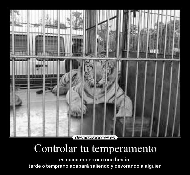 carteles lado salvaje cada uno desmotivaciones