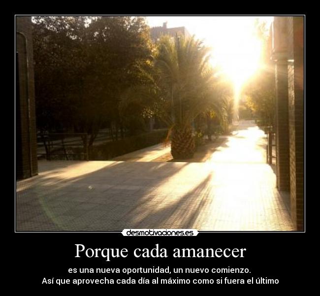 carteles nuevos comienzos ultimas oportunidades desmotivaciones