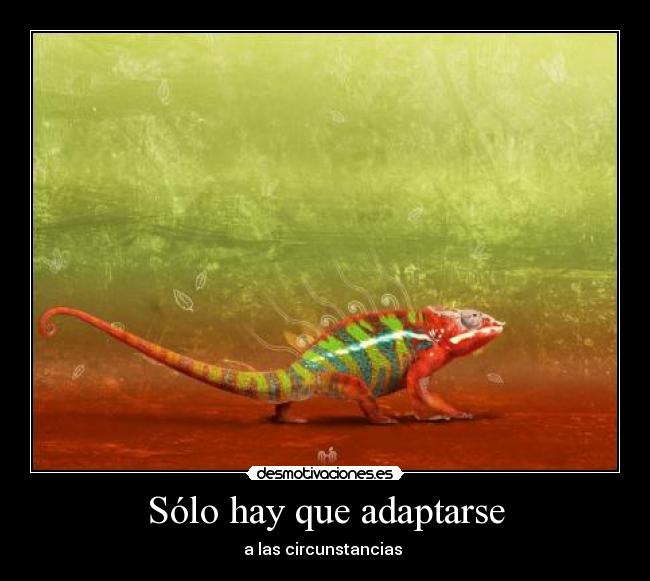 Sólo hay que adaptarse - 