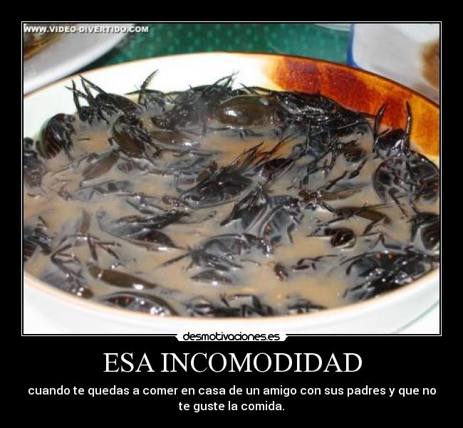 ESA INCOMODIDAD - cuando te quedas a comer en casa de un amigo con sus padres y que no
te guste la comida.