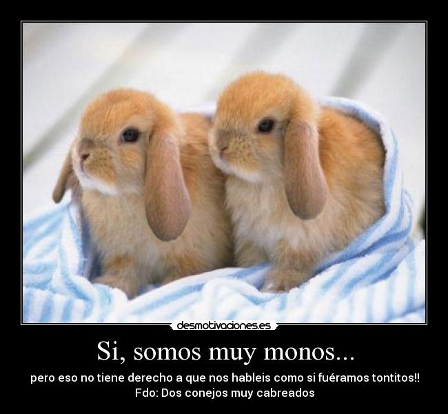 Resultado de imagen para desmotivaciones.es