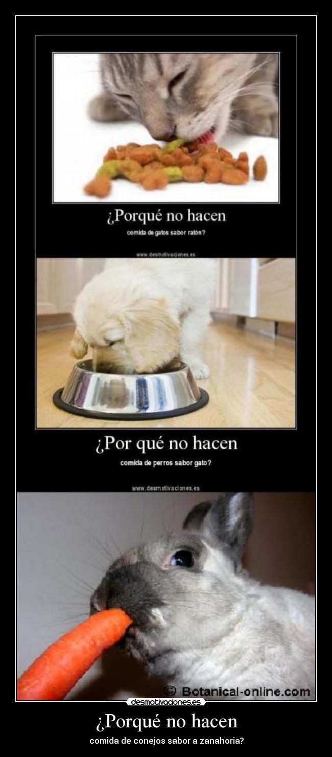 ¿Porqué no hacen - comida de conejos sabor a zanahoria?