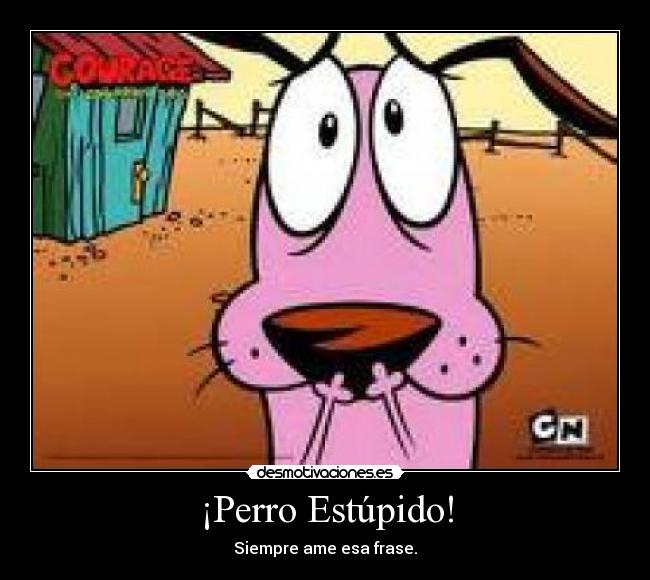¡Perro Estúpido! - Siempre ame esa frase.