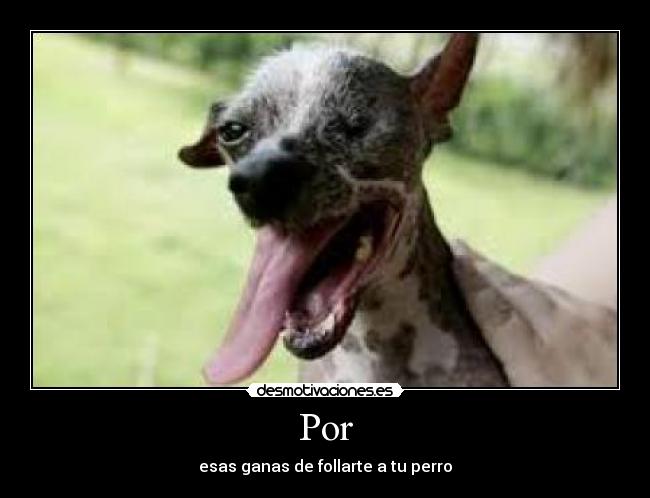 Por - esas ganas de follarte a tu perro