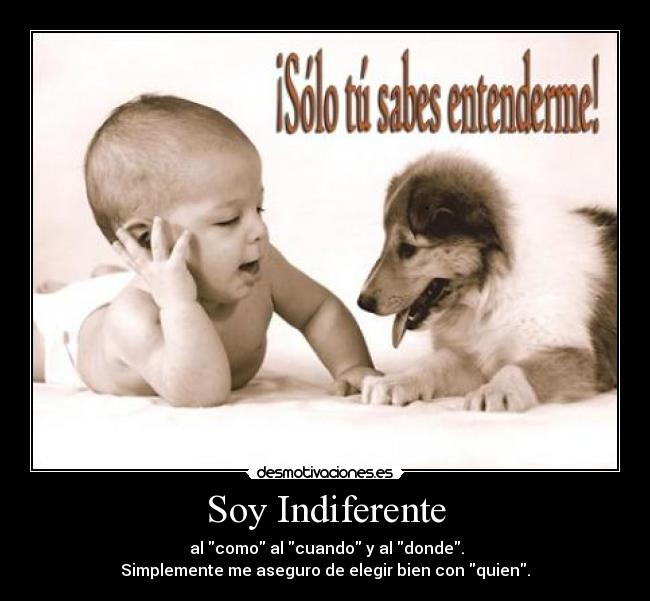 carteles 998 desmotivaciones