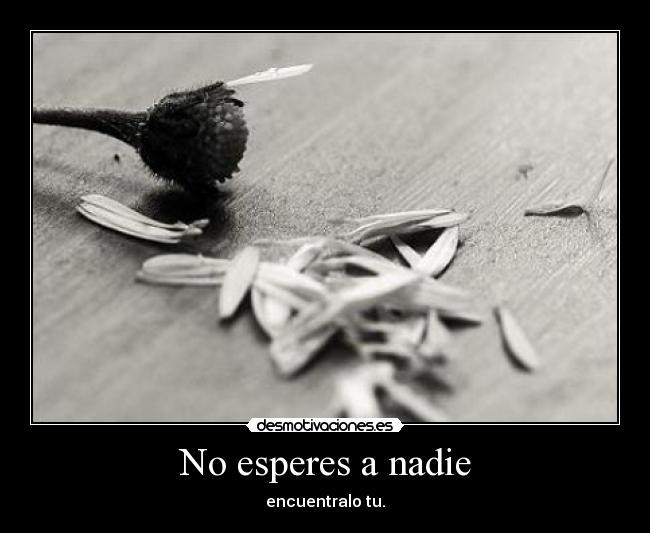 No esperes a nadie - 