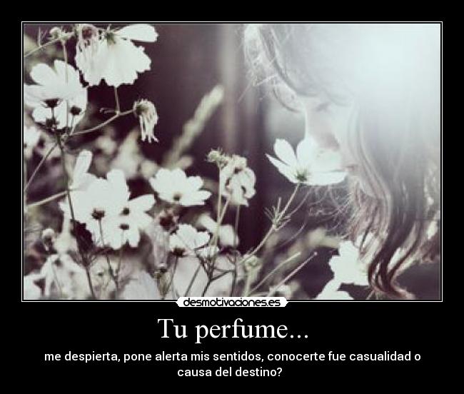 Tu perfume... - me despierta, pone alerta mis sentidos, conocerte fue casualidad o
causa del destino? ♥