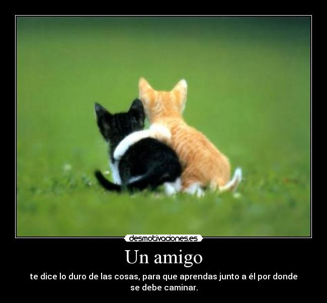 Un amigo - te dice lo duro de las cosas, para que aprendas junto a él por donde se debe caminar.