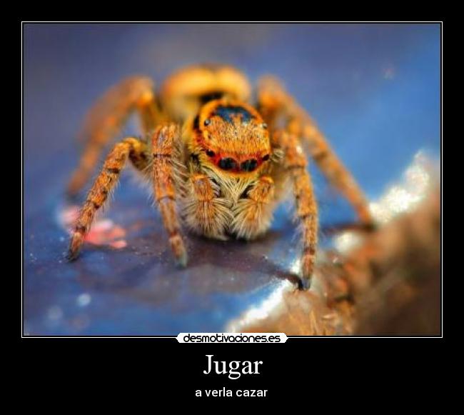 carteles desmotivaciones