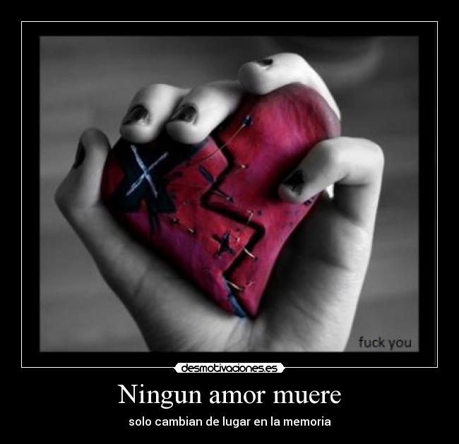 Ningun amor muere -