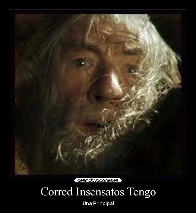 Corred Insensatos Tengo - Una Principal