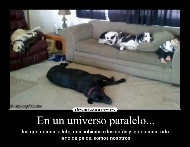 En un universo paralelo... - 