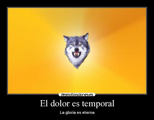 carteles dolor courage wolf pain dolor temporal eterna desmotivaciones