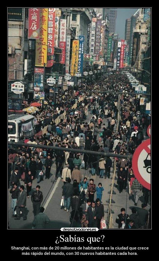 carteles curiosidades desmotivaciones