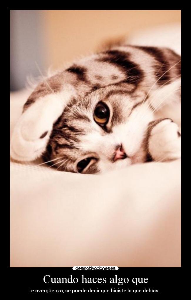 Cuando haces algo que - te avergüenza, se puede decir que hiciste lo que debías...
