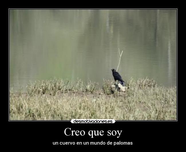 Creo que soy - un cuervo en un mundo de palomas