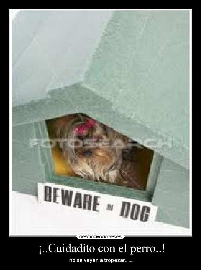 ¡..Cuidadito con el perro..! - no se vayan a tropezar......