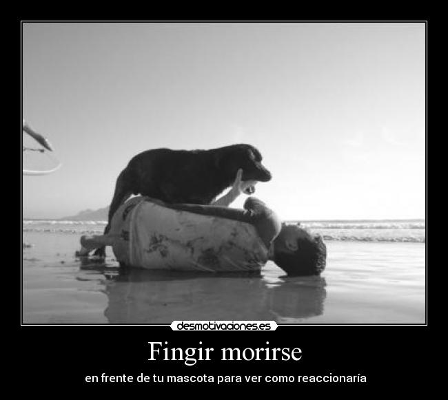 Fingir morirse - 