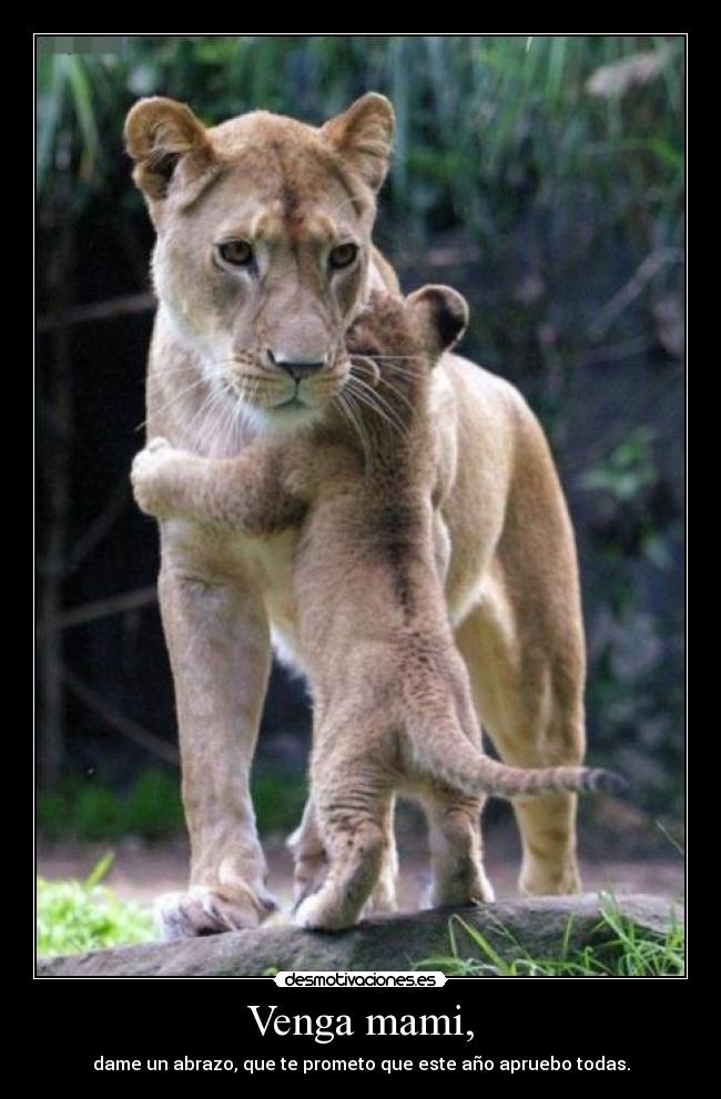 Venga mami, - 