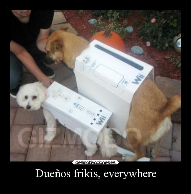 Dueños frikis, everywhere - 