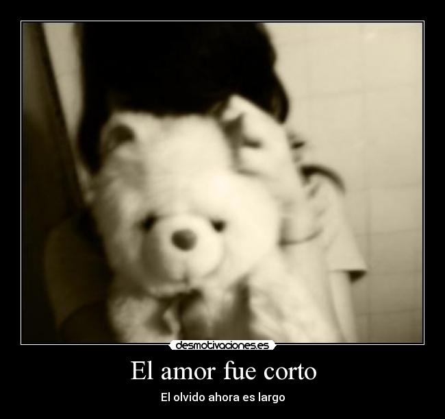 El amor fue corto -